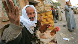 (FILES) An Egyptian man sells chicken in